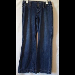 Liz Lange maternity jeans